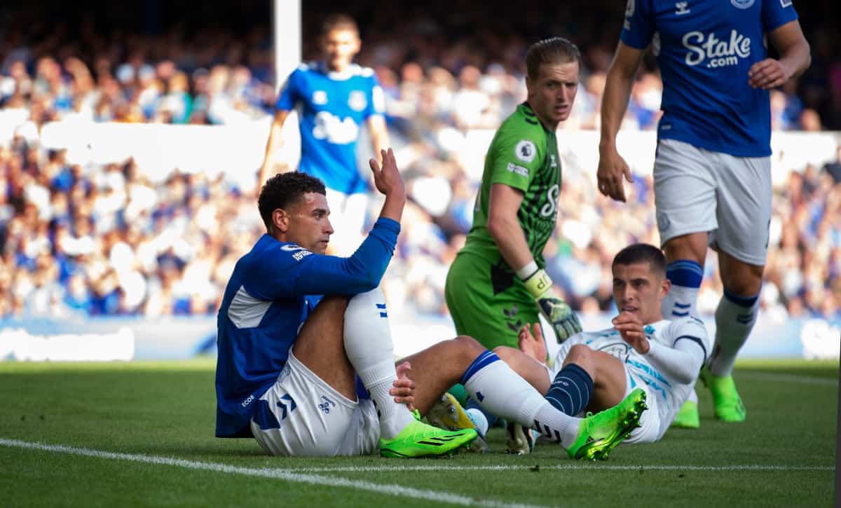 Everton injuries